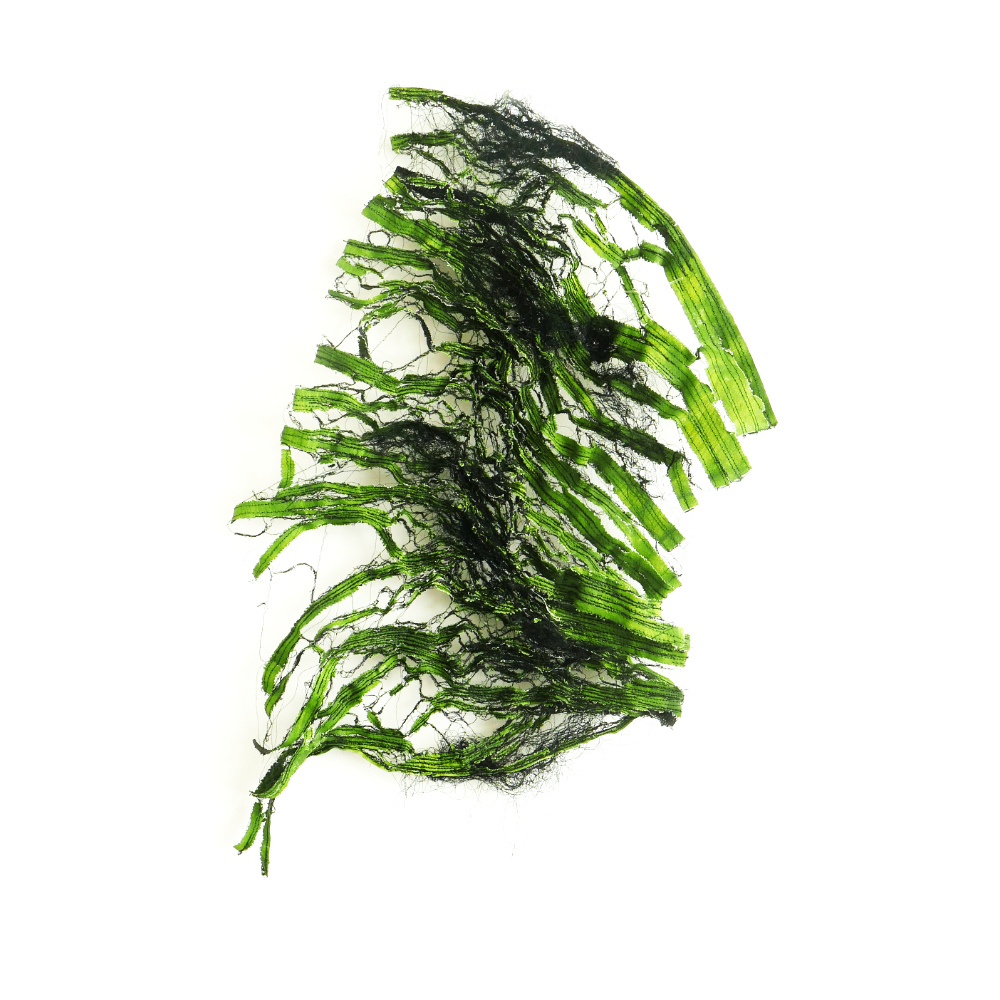 Slide #1 copy copy copy copy copy copy copy Slide background